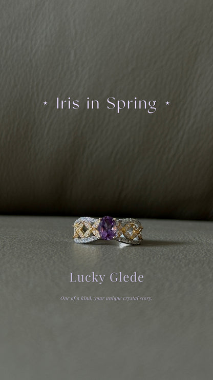 Cosmic Dance Amethyst S925 Ring