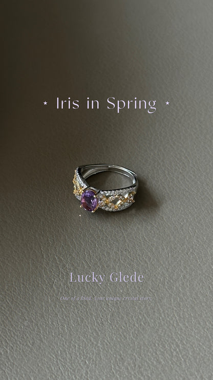 Cosmic Dance Amethyst S925 Ring