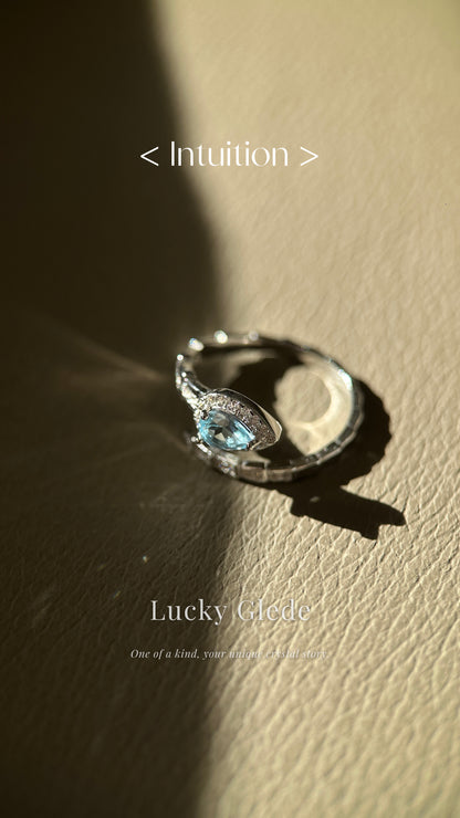 Serpent's Wisdom Blue Topaz S925 Ring